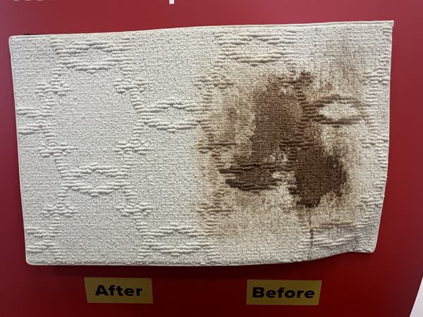 Area rug mid-clean, showing the cleaned half against the soiled half